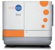 Jess �๦��ȫ�Ԅӵ����|(zh��)���_(d��)��������ϵ�y(t��ng)