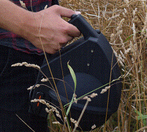 Videometer����Vֲ����͹��ܷ���ϵ�y(t��ng)