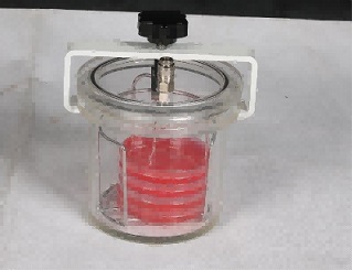 ������(�\(ch��ng)�����N���N�����a(ch��n))