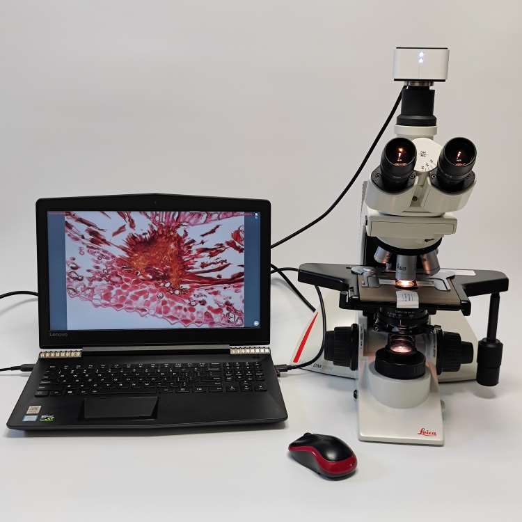 �ƿ�Leica�����@΢�RDM2000LED�ɹ��@΢�R