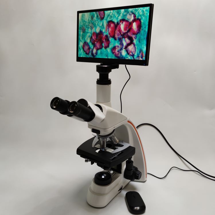 ZL2800T���������@΢�R HDMI �����@ʾ��