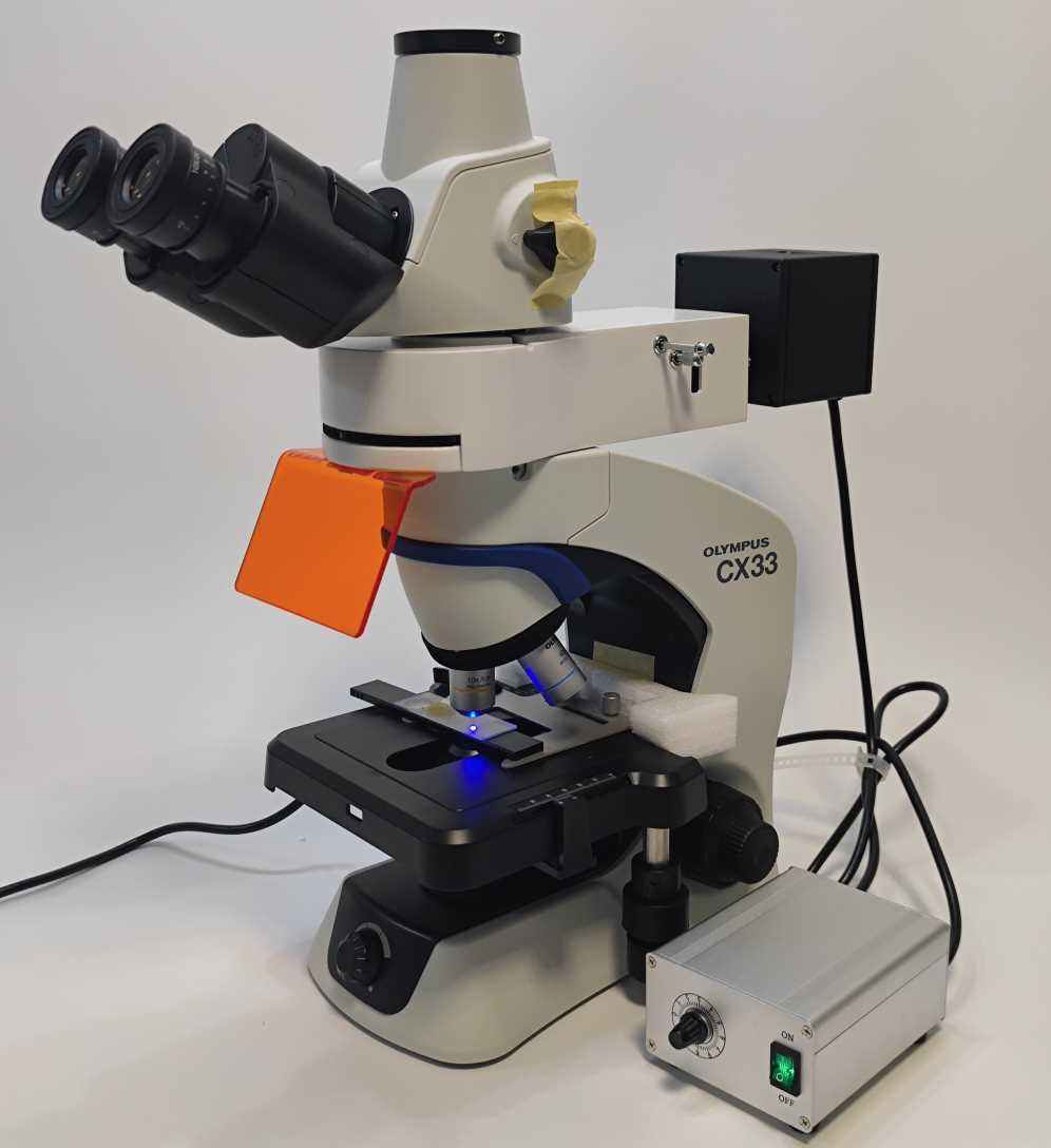 Olympus�W�ְ�˹CX33�ɹ��@΢�RLED��ɫ