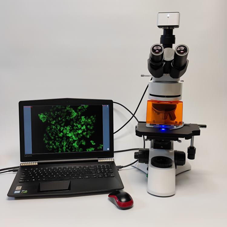 LED�ɹ������@΢�R���Ԟr���@΢�R