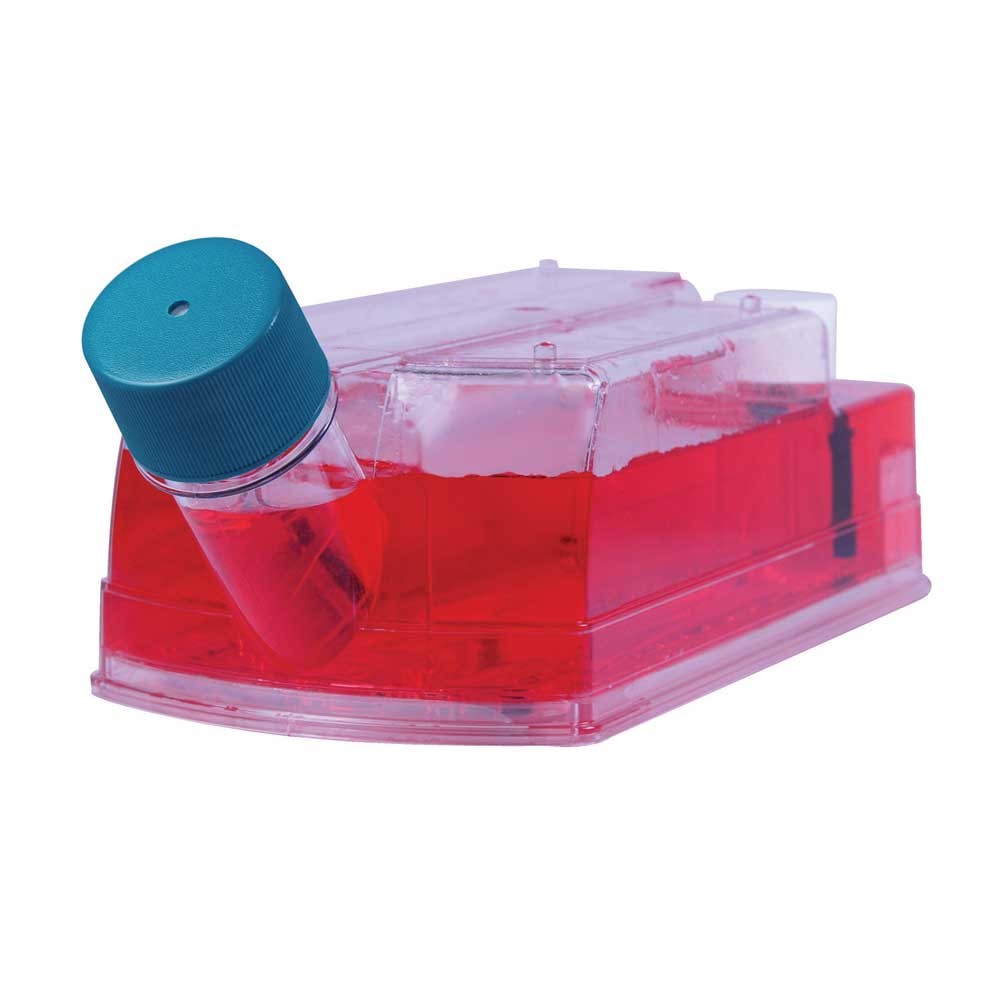 WHEATON CELLine ���ﷴ��(y��ng)��