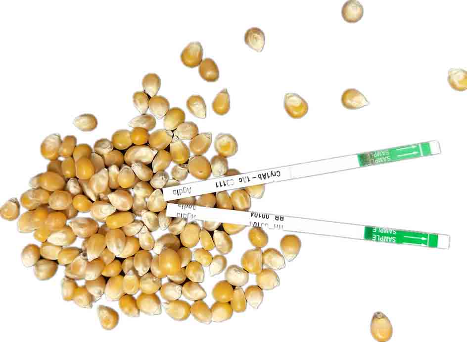 �D(zhu��n)����󶹙z�y(c��)ԇ���l