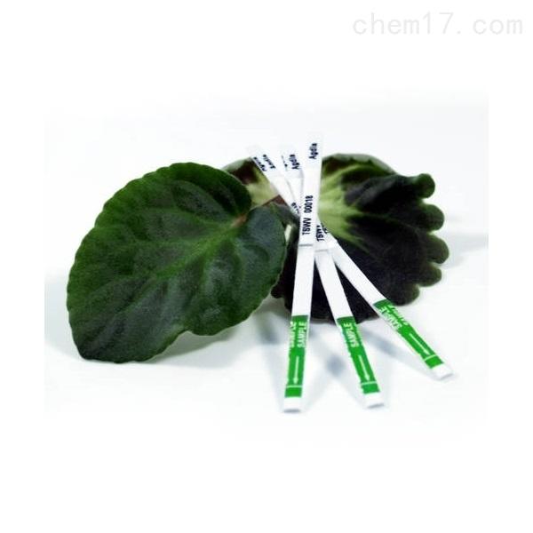 ���Ϲ��߲����z�y(c��)ԇ���м�ԇ���l