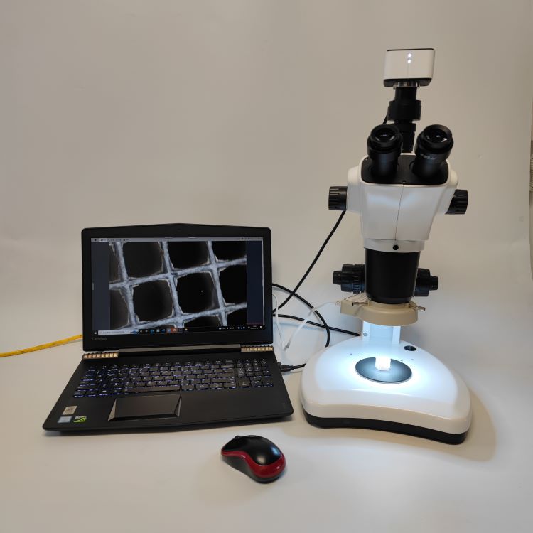 ��������׃��7-252�� �wҕ�@΢�R�������R