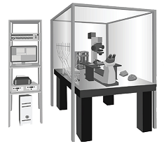 ĤƬ�Qϵ�y(t��ng)