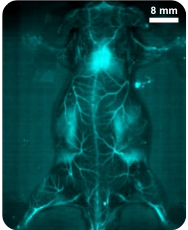 С��(d��ng)����t����^(q��)���w����ϵ�y(t��ng)