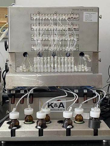 K&A H-16����ϳɃx,DNA�ϳɃx,RNA�ϳɃx