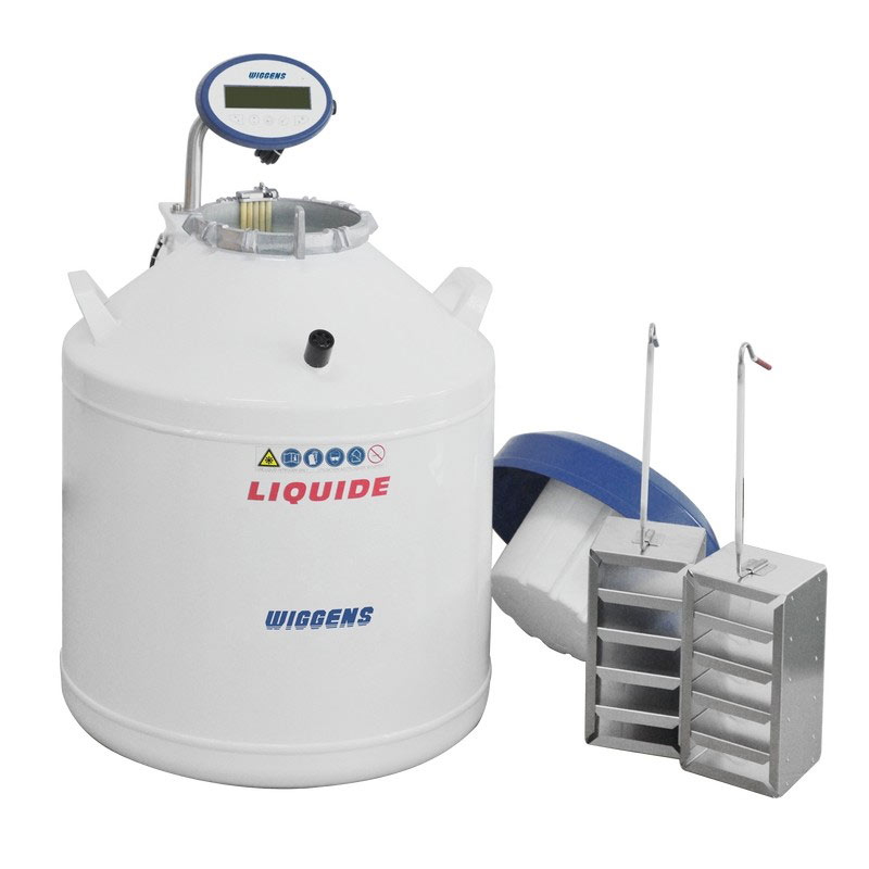 WIGGENS ARPEGE ������Ʒ��(ch��)���(Һ����)