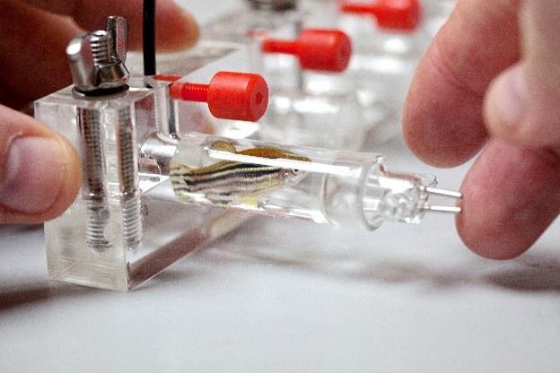 ���R�~�������x�y����Q����