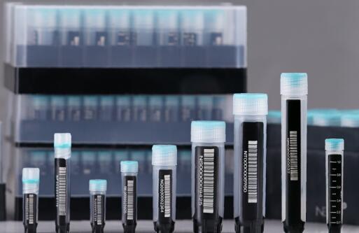 NEST ���a��һ�����