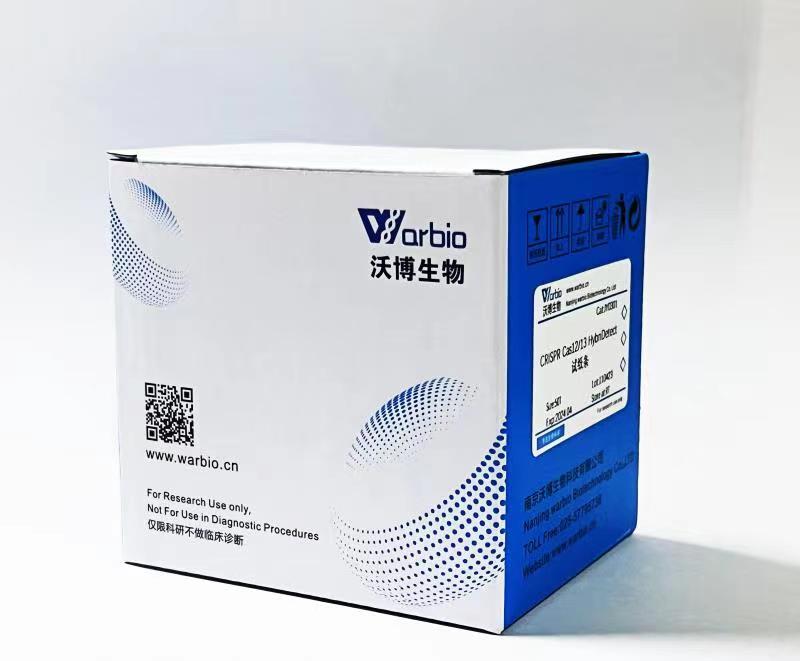 CRISPR Cas12/13 HybriDetectԇ���l