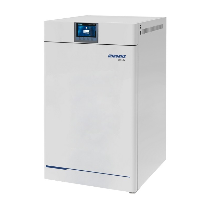 WIGGENS GMP WHϵ�� ������B(y��ng)��