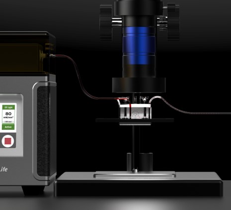 ˮ���z΢���Ƃ�x