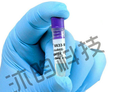 ATCC6633�ݲ�ѿ�ߗU�� 0����(bi��o)��(zh��n)���N