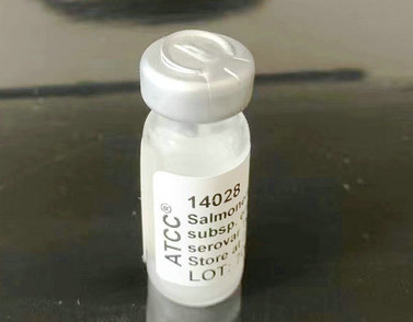 ATCC14028�c��ɳ�T�Ͼ� ��(bi��o)��(zh��n)����