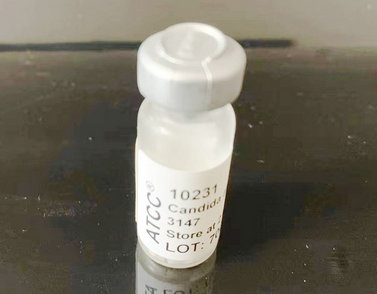 ����ATCC10231��ɫ����� �|(zh��)�ؾ��� 0�����N