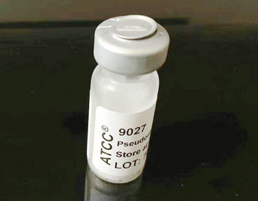 ATCC9027�~�G�نΰ���,�Gē�U�� ��(bi��o)��(zh��n)����