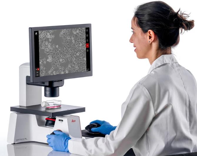 ��(gu��)�ƿ� ��(sh��)�ֻ������@΢�R Mateo TL