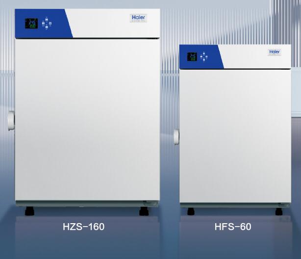 늟��ظ�����