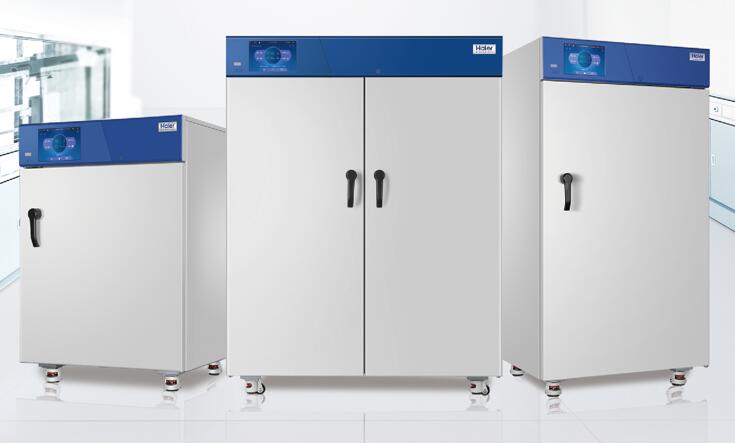 ���к�غ����