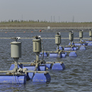 ʯ�ͻ����Uˮ̎�����l(f��)��