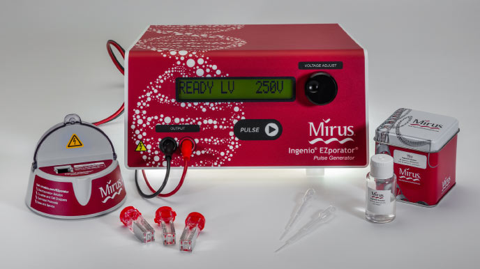 Mirus�ԃr(ji��)����D(zhu��n)�x