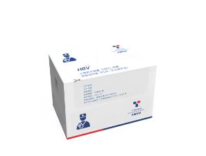 丙型肝炎病毒( HCV ) 核酸定量檢測試劑盒