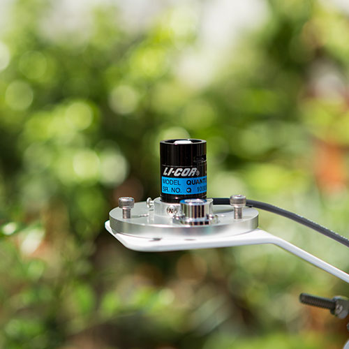 LI-190R �����Чݗ������� LICOR