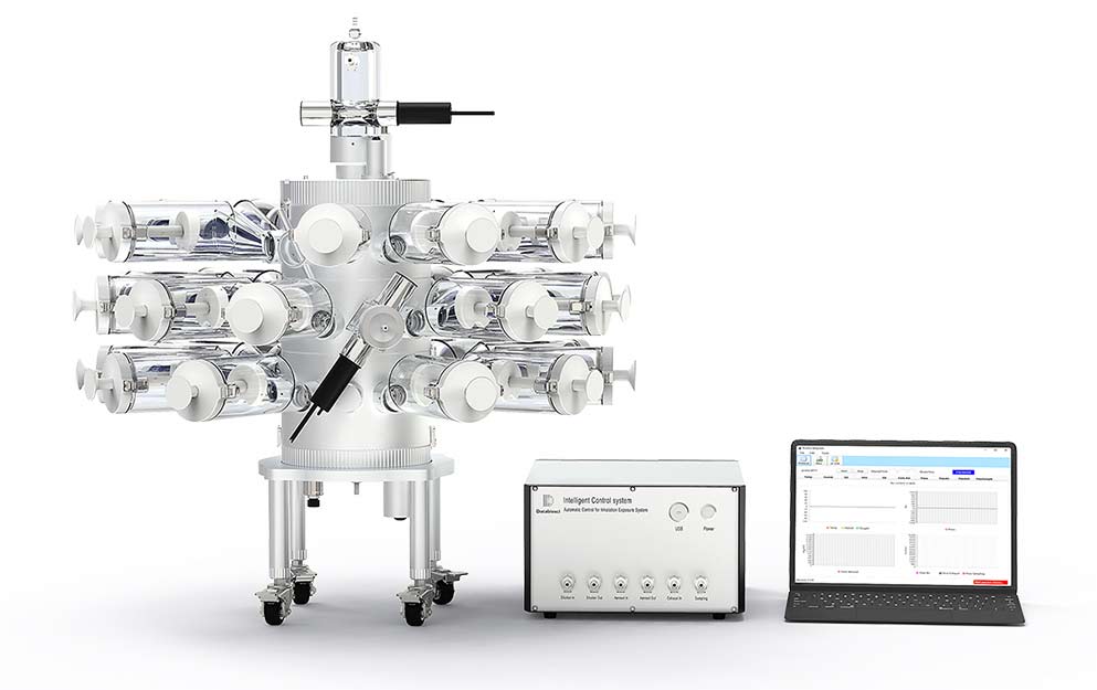 ȫ�Ԅӿڱ����뱩¶ϵ�y(t��ng)