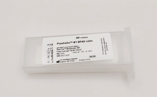 �ɹ��(bi��o)��ԇƬ