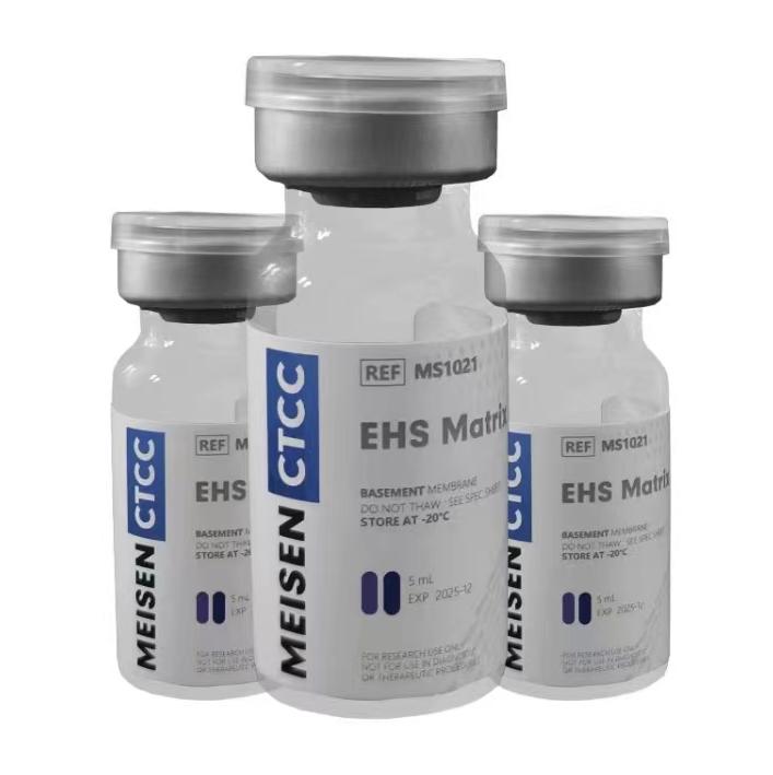 ��ɭ���|(zh��)�z�p���L�����͟o�Ӽt