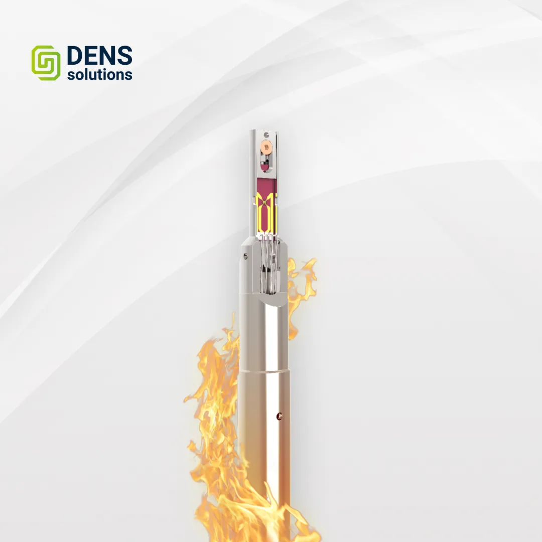 DENS Wildfire TEM ԭλ�ӟ�ϵ�y(t��ng)