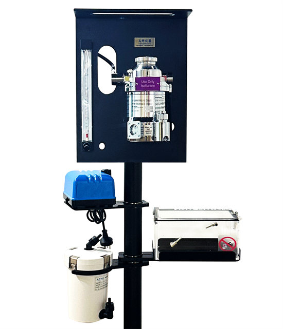 ��(d��ng)���������C(j��)����(d��ng)������C(j��)�����C(j��)