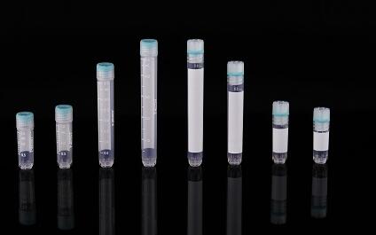 NEST �����ϵ��