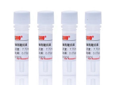 ���ӄ�ο�¡���w