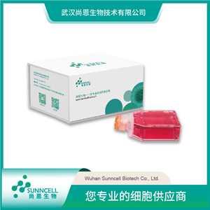 3T3-L1С����̥���w�S����