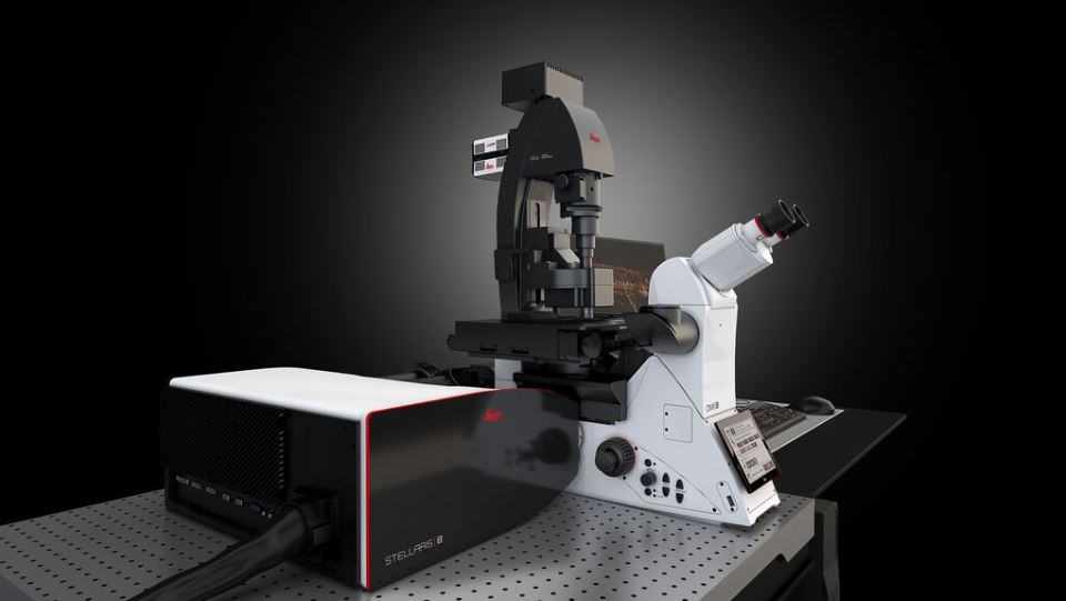 ���ƿ� ���⹲�۽� STELLARIS