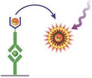 DELFIATRF ���g(sh��)