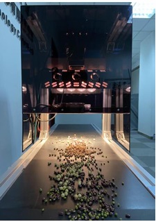 SeedSort �N�Ӹ߹��V�����ھ�����ƽ�_