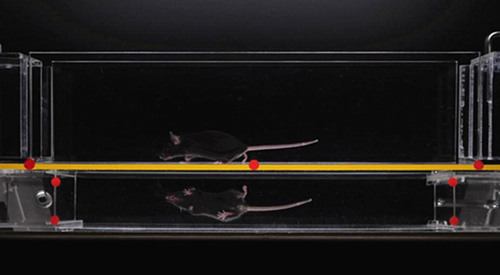 ���󲽑B(t��i)����ϵ�y(t��ng)��С�󲽑B(t��i)����ϵ�y(t��ng)