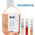 MelM��ɫ�ؼ�(x��)�����B(y��ng)��ScienCell