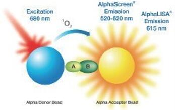 ALPHA���g(sh��)