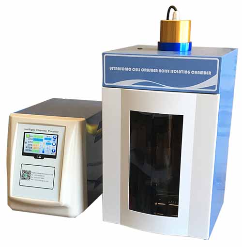 �����黯��ɢ��