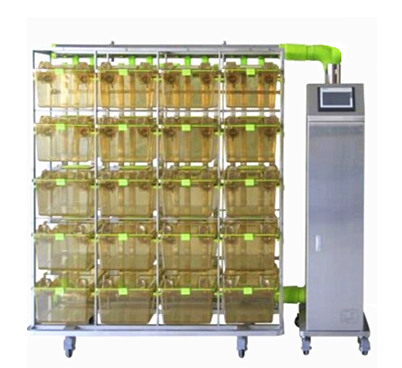 С����IVC��B(y��ng)�\��С�������B(y��ng)�\