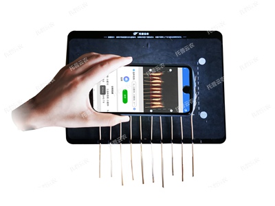 麥穗形態(tài)測(cè)量?jī)x-稻穗形態(tài)測(cè)量系統(tǒng)