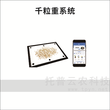 �N��Ӌ��(sh��)�x-�N��Ӌ��(sh��)��-ǧ����ϵ�y(t��ng)