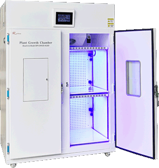 ��ɫ��ֲ�����B(y��ng)��